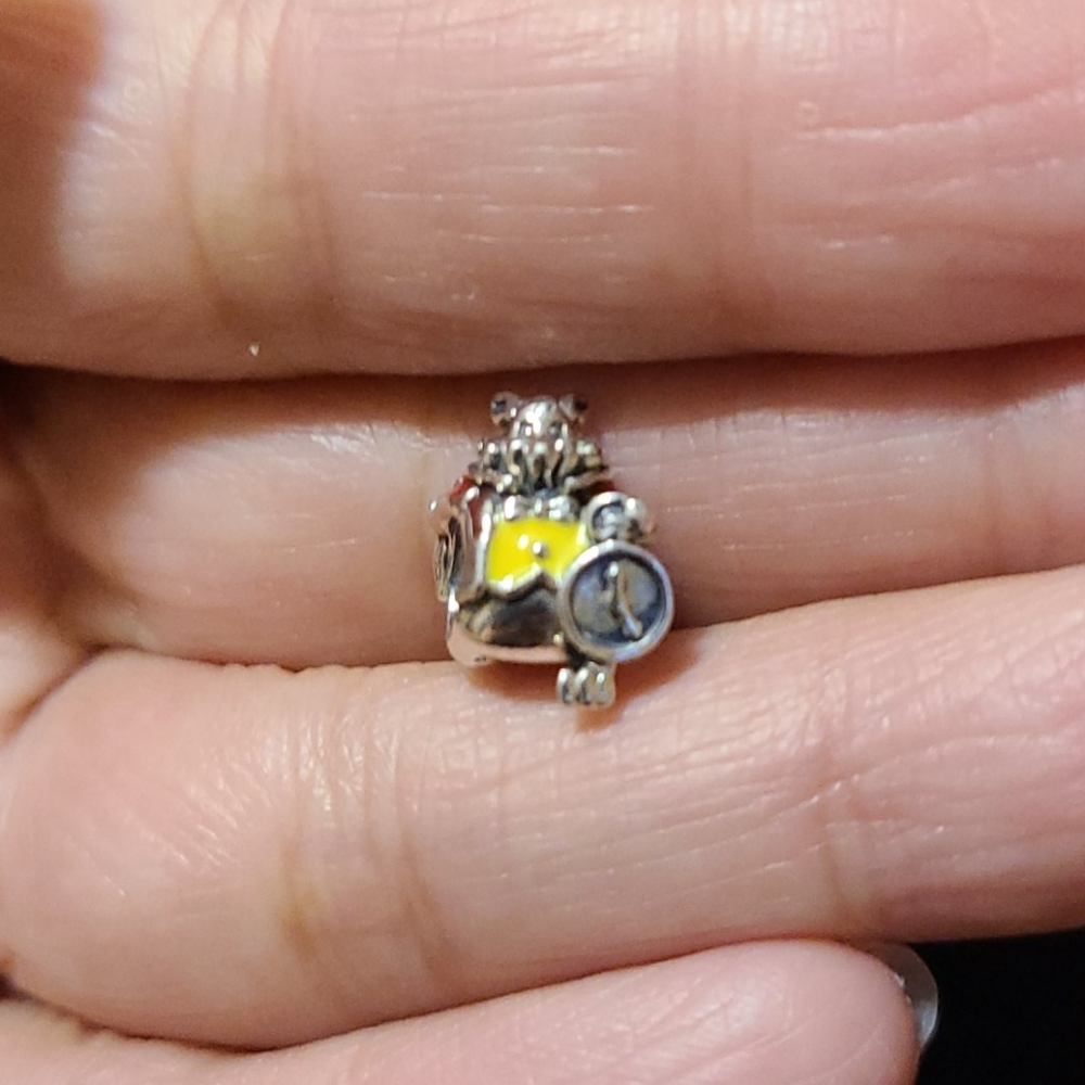 Pandora charm